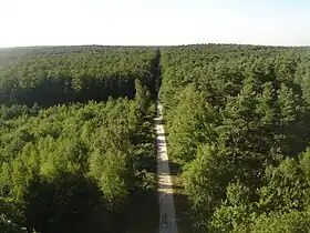 Image illustrative de l’article Forêt d'Orléans