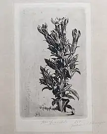 Gentiane d’Allemagne, septembre 1916 (Eau-forte ; Inv. Kunel nº 348 ; 17,5 x 11,5 cm), Collection privée