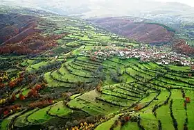 Šajinovac (Dragaš)