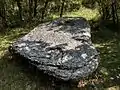 Table du dolmen no 1 de Marcigaliet