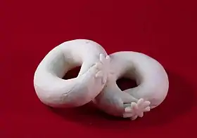 Image illustrative de l’article Kâak warka