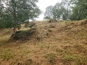 Image illustrative de l’article Château de Génat