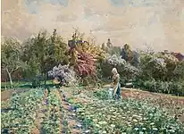 Champ de fleurs à Visby