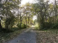 Le GR 654 près de la Croix de Menaut.