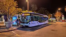 Image illustrative de l’article Palm Transports