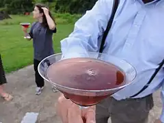 Gagarin Cocktail, du nom de Youri Gagarine (crème de cassis, champagne, vodka, cherry brandy et jus de citron).