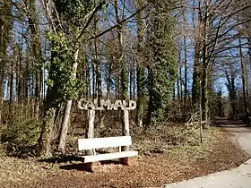 Image illustrative de l’article Forêt domaniale du Galm