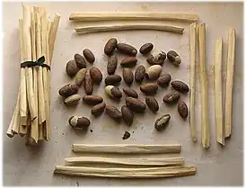 Bâtons servant de brosse à dents