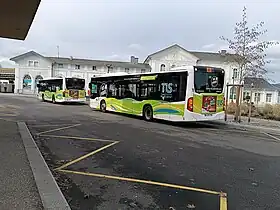 Photo représentant des autobus de modèles Mercedes-Benz Citaro K et Citaro hybride sur la ligne A, devant la gare de Sélestat.