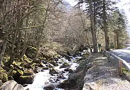 Le gave le long de la route de la Fruitière.