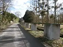 Vue d'une passerelle piétonnière surélevée par rapport à la route qu'elle longe.