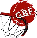 Image illustrative de l’article Fédération géorgienne de basket-ball