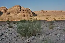Paysage en Jordanie en octobre 2019.