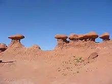 Champignons complets et un champignon déchapeauté formant un mamelon.