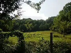 Dabrac (Bosnie-Herzégovine) en 2009