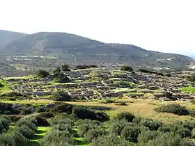 Image illustrative de l’article Gournia