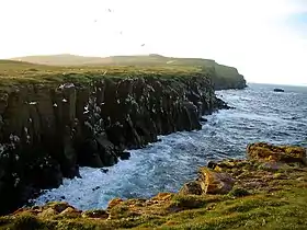 Côte de Grímsey.