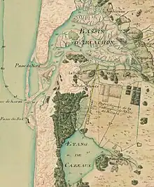 carte dessinée de 1774, figurant le bassin d'Arcachon au nord, l'étang de Cazaux au sud, l'océan à l'ouest et au centre la forêt.