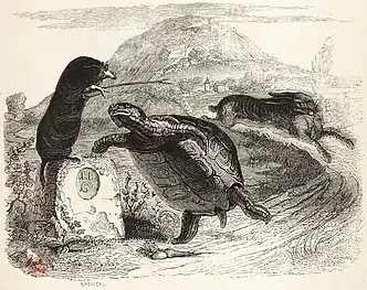 Le Lièvre et la Tortue.