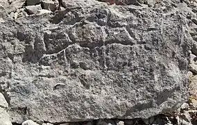 Gravure rupestre représentant un bovidé vers Font Méjanne.