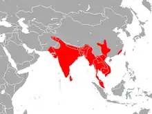 Aire de répartition du faux vampire