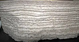 Empilement de couches de gypse (gris clair) et de calcite (brun foncé). Formation Castile (en), Nouveau-Mexique (États-Unis).