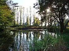 Photo de la mare des peupliers à Huest.
