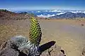 Parc national de Haleakalā