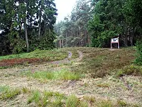 Image illustrative de l’article Tombe du cavalier de Hankenbostel