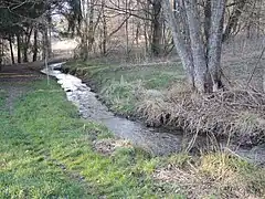 Le canal d'alimentation.