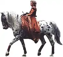 un cheval blanc tacheté de noir monté par une écuyère habillée en orange