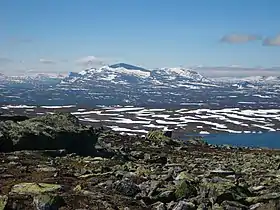 Helagsfjället en été