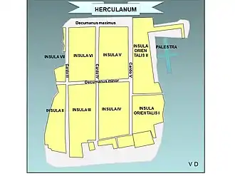 plan d'ensemble, ilots rectangulaires d'habitation en jaune, voirie en gris
