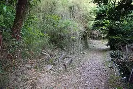 Path to Yakujin and Kojin Shrines on Shiraobi Mountain