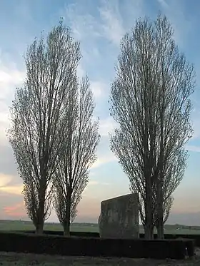 Brunehaut (Belgique)