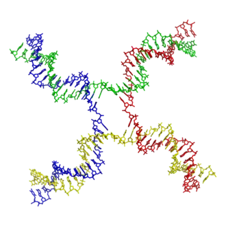 Jonction de Holliday (PDB 3CRX).