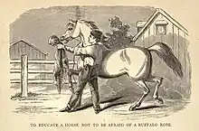 Dessin d'un homme tenant la tête de son cheval à côté d'une peau de bovin mort.