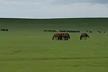 Bannière du Vieux Barag