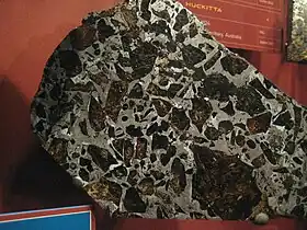 Image illustrative de l’article Pallasite