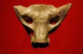 Sacrum de Tequixquiac