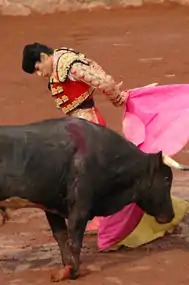 Image illustrative de l’article Humberto Flores