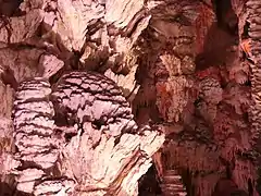 La « pomme de pin ».