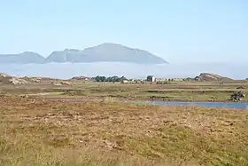 Image illustrative de l’article Gisløya