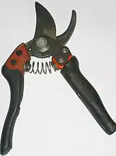 Photographie montrant un viticulteur taillant une vigne, assis sur un tabouret à roulette.