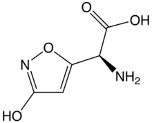 Image illustrative de l’article Acide iboténique