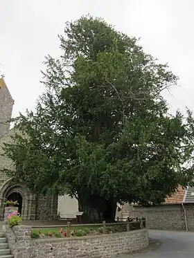 If millénaire et portail XIIe siècle.