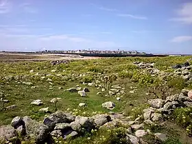 Image illustrative de l’article Kélaourou