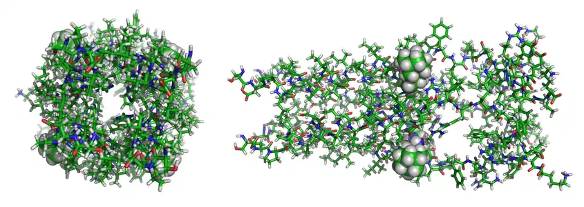 Protéine M2 du virus de la grippe A complexée avec la rimantadine (PDB 2RLF)