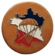 Bataillon de choc - 1er modèle (juin 1943)