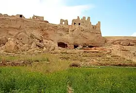 Image illustrative de l’article Château de Izadkhvast